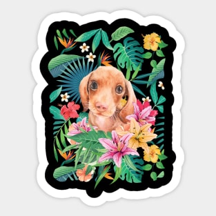 Tropical Red Dachshund Doxie Puppy Sticker